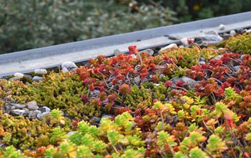the cost of Chelvey Batch green roof installation
