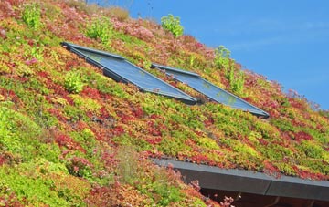 Chelvey Batch living roof systems