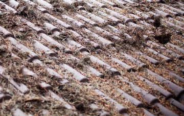 Chelvey Batch roof cleaning companies