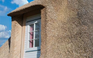 Chelvey Batch thatch roof disadvantages