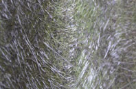 Chelvey Batch fibreglass roof work