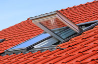 Chelvey Batch roof window